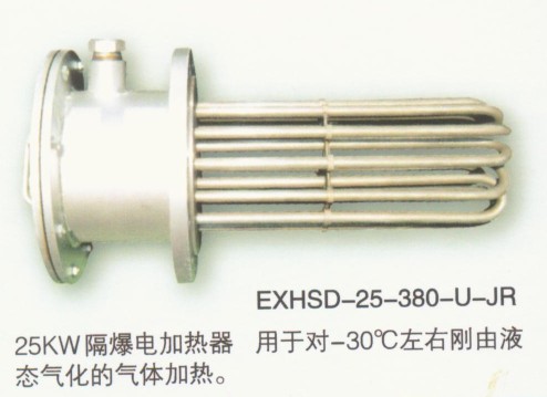 浸入式隔爆加热器